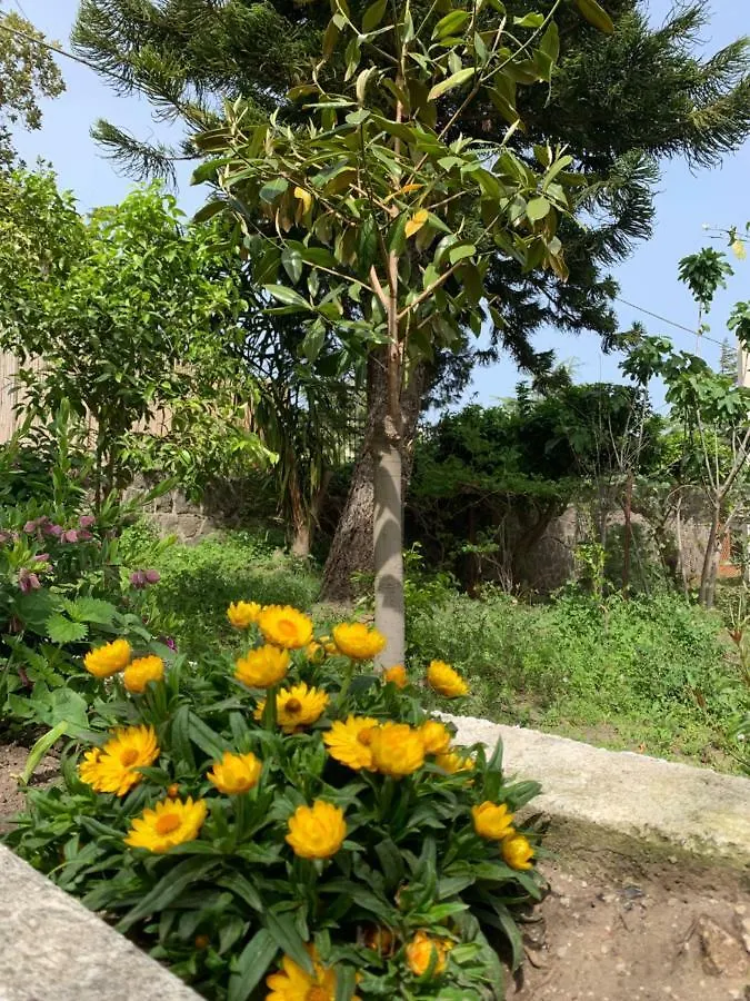 شقة Casa Diana Arianna ليباري